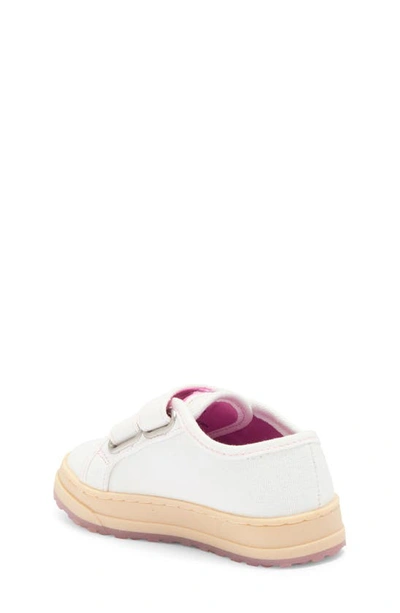 Shop Steve Madden Kids' Tmaples Sneaker In White Multi