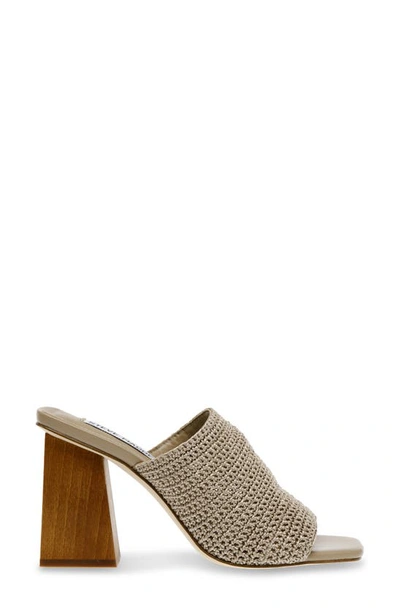 Steve Madden Realize Slide Sandal In Taupe