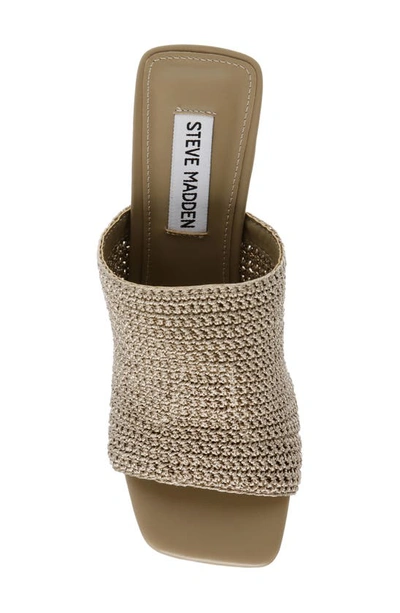 Steve Madden Realize Slide Sandal In Taupe