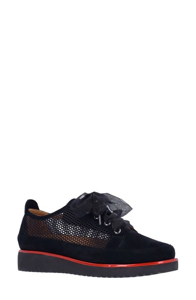 Shop L'amour Des Pieds Zafira Mixed Media Derby In Black