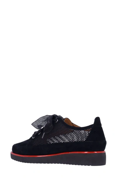 Shop L'amour Des Pieds Zafira Mixed Media Derby In Black