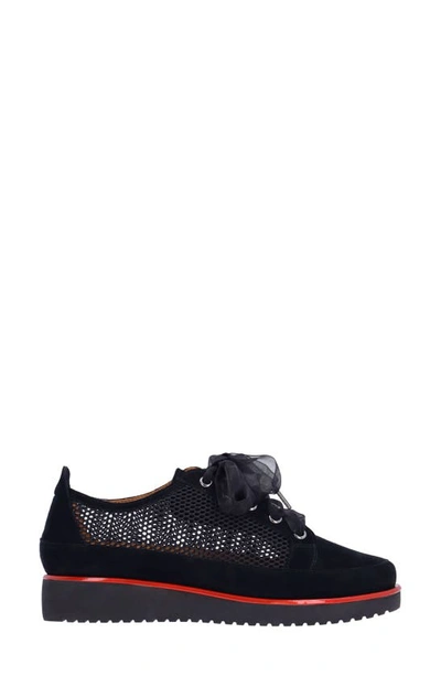 L'amour Des Pieds Zafira Mixed Media Derby In Black