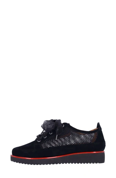 L'amour Des Pieds Zafira Mixed Media Derby In Black