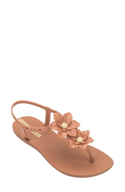 Shop Ipanema Flowers Sandal In Brown