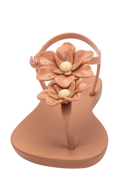 Shop Ipanema Flowers Sandal In Brown