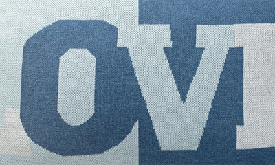 Domani Home Love Accent Pillow In Blue
