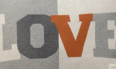 Domani Home Love Accent Pillow In Rust