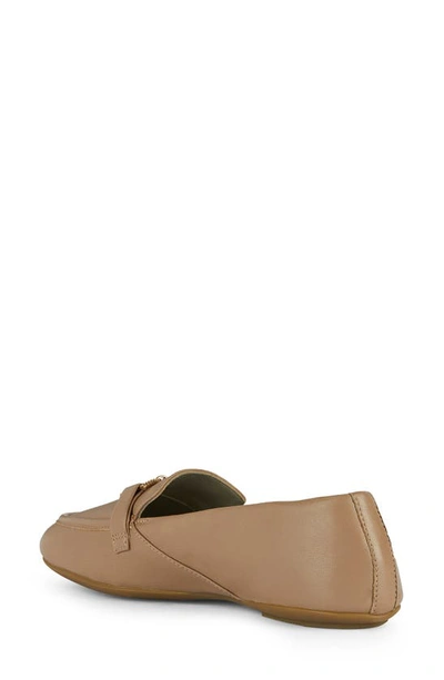 Shop Geox Palmaria Loafer In Sand