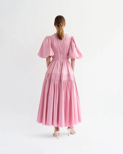 Shop Aje Fallingwater Ruched Midi Dress In Pink
