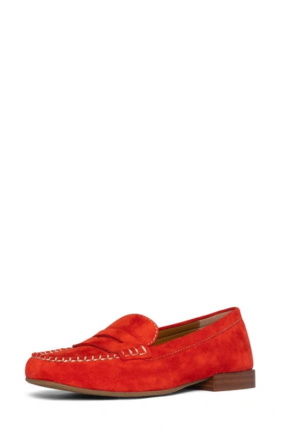 Shop Donald Pliner Penny Loafer In Persimmon