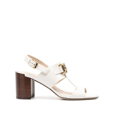 Shop Tod's Shoes In White/brown