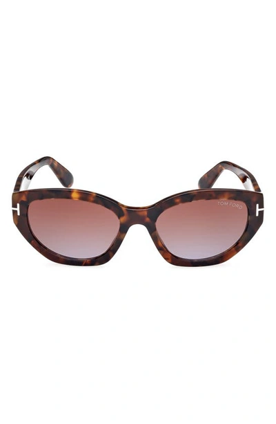 Shop Tom Ford Penny 55mm Geometric Sunglasses In Shiny Vintage Havana / Brown