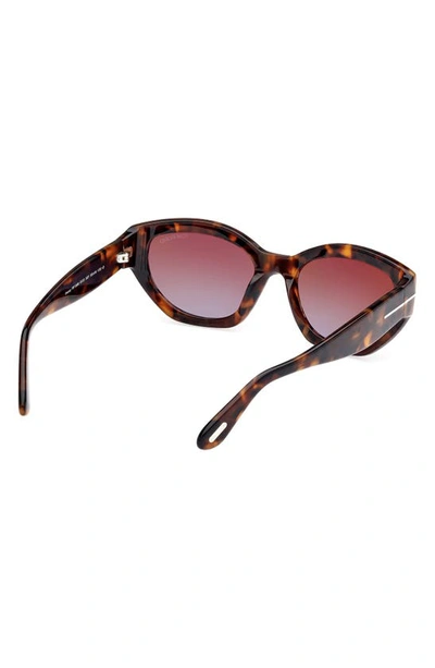 Shop Tom Ford Penny 55mm Geometric Sunglasses In Shiny Vintage Havana / Brown