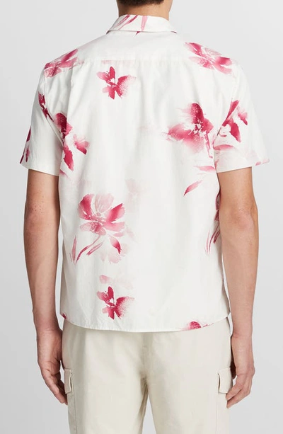 Shop Vince Faded Floral Print Short Sleeve Shirt In White/ Dark Pink Blaze