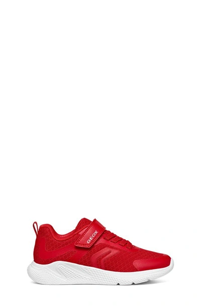 Shop Geox Kids' Sprintye Sneaker In Med Red