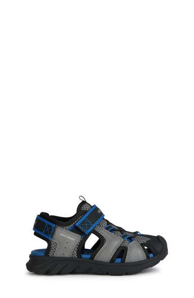 Shop Geox Airadyum Water Friendly Sandal In Dark Grey/ Royal