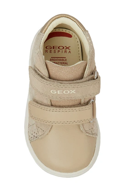 Shop Geox Kids' Biglia Sneaker In Beige/ Gold