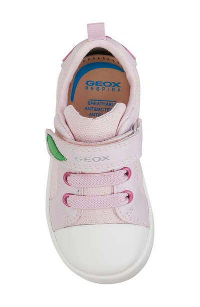 Shop Geox Kids' Kilwi Sneaker In Pink/ Fuchs
