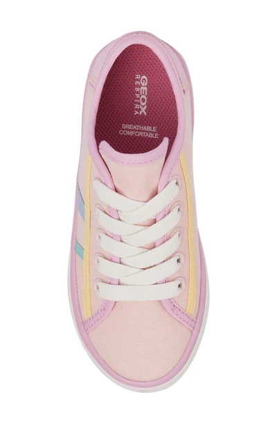 Shop Geox Kids' Gisli Sneaker In Med Pink