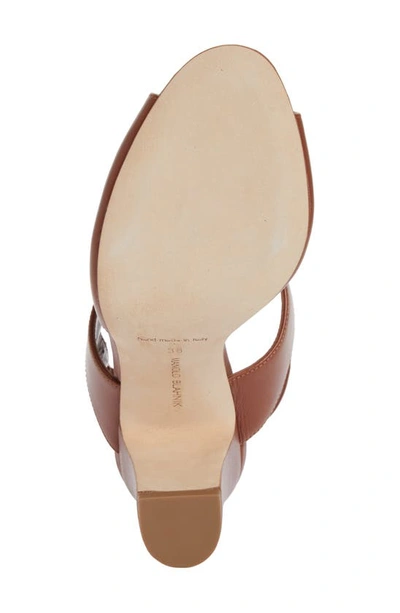 Shop Manolo Blahnik Khiko Slingback Sandal In Brown