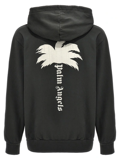 Shop Palm Angels The Palm Sweatshirt Gray