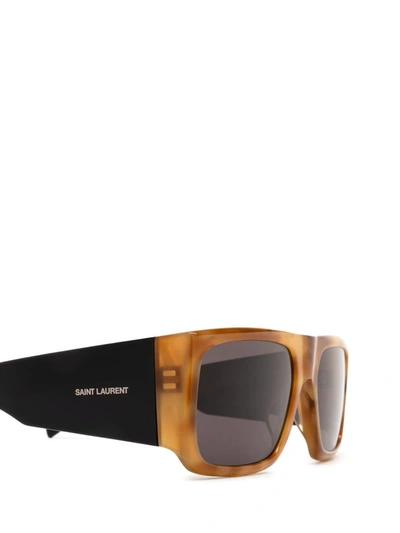 Shop Saint Laurent Eyewear Sunglasses In Havana
