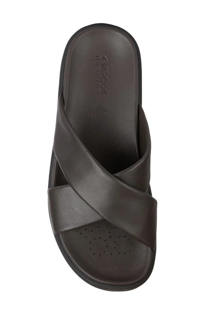 Shop Geox Spherica Ec6 Sandal In Dark Brown