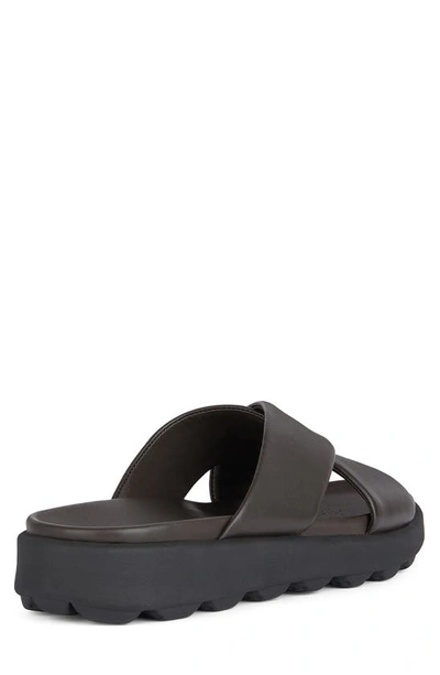 Shop Geox Spherica Ec6 Sandal In Dark Brown