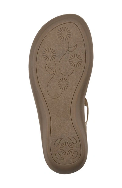 Cliffs By White Mountain Camryn Strappy Wedge Sandal In Gold/ Met/ Sueded/ Smooth