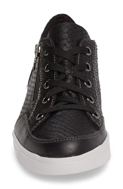 Shop Munro Gabbie Sneaker In Black Snake Print Leather