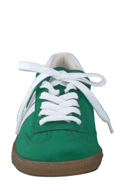 Shop Paul Green Tilly Sneaker In Green White Combo