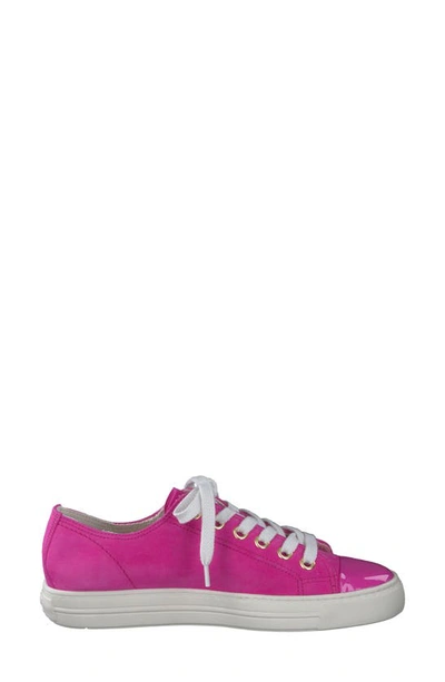 Shop Paul Green Sophie Sneaker In Pink Flamingo Combo