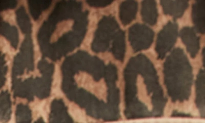 Allsaints Finch Leopard Camouflage Print Jacket In Animal Brown