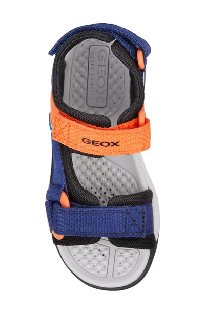 Shop Geox Kids' Borealis Sandal In Navy/ Orange