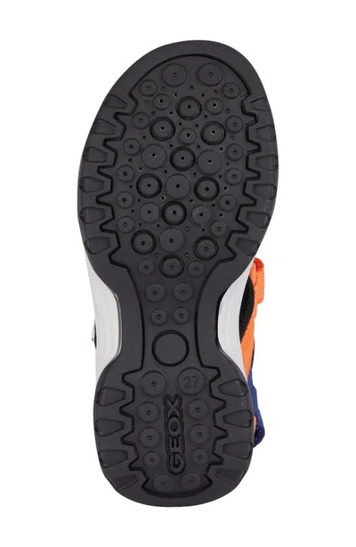 Shop Geox Kids' Borealis Sandal In Navy/ Orange