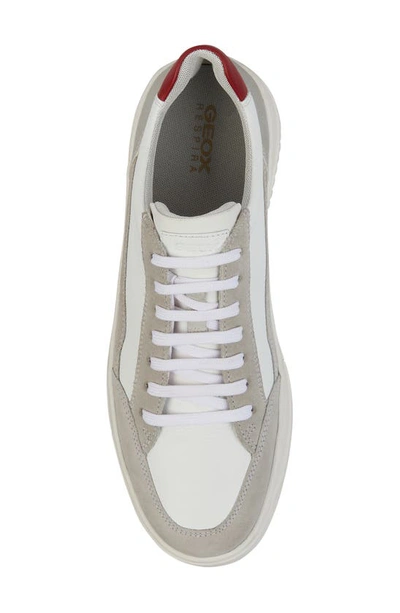 Shop Geox Segnale Sneaker In White/ Grey
