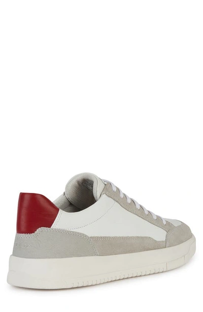 Shop Geox Segnale Sneaker In White/ Grey