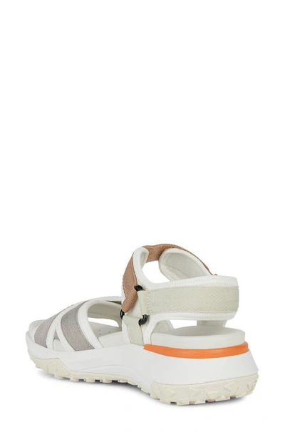 Shop Geox Sorapis Grip Sandal In White/ Grey