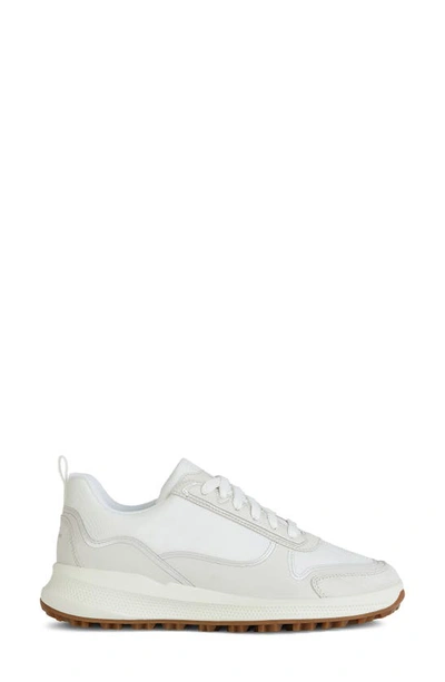Shop Geox Pg1x2 Sneaker In White/ Off White