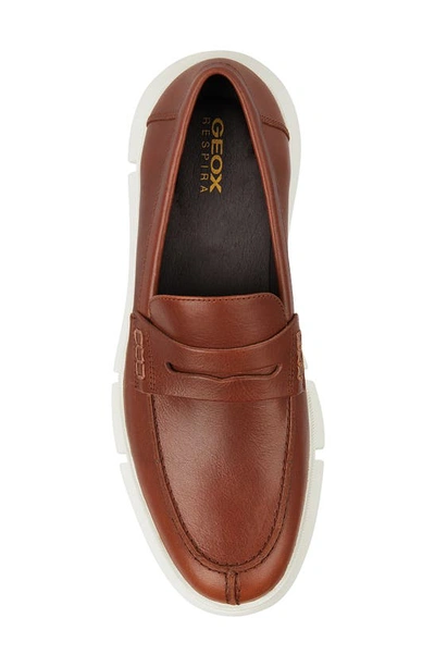 Shop Geox Adacter Loafer In Light Brown