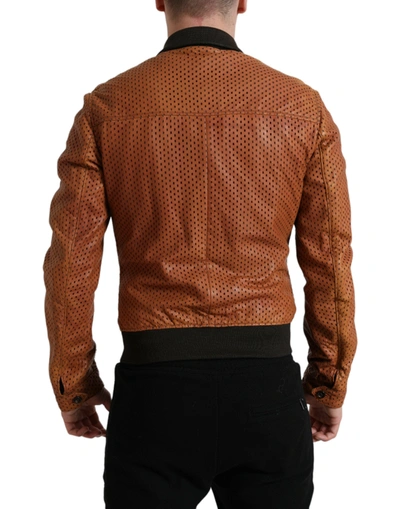 Shop Dolce & Gabbana Elegant Leather Perforated Bomber Men's Jacket In Brown