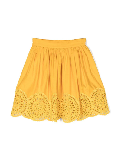 Shop Stella Mccartney Broderie Anglaise Skirt In Yellow & Orange