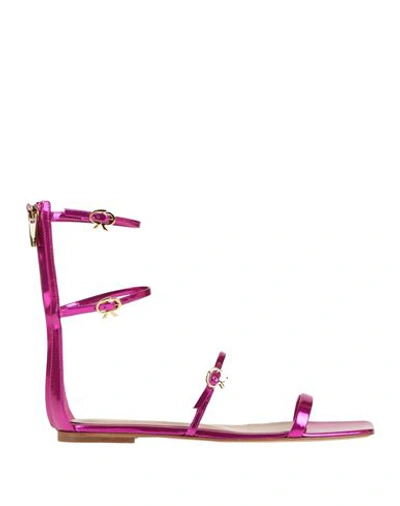 Shop Gianvito Rossi Woman Sandals Fuchsia Size 7 Leather In Pink