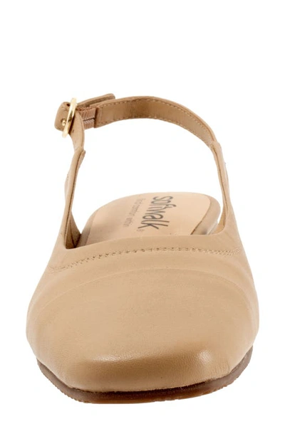 Softwalk Wide Width Vittoria Sandal In Nude
