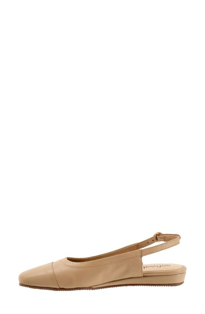 Softwalk Wide Width Vittoria Sandal In Nude