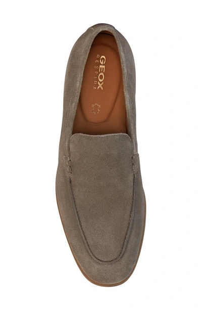 Shop Geox Ven Zone Venetian Loafer In Taupe