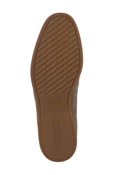 Shop Geox Ven Zone Venetian Loafer In Taupe
