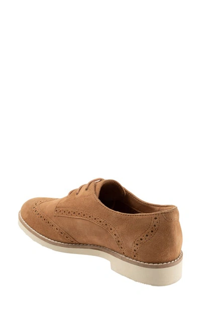 Softwalk Willet Wingtip Derby In Camel Nubuck