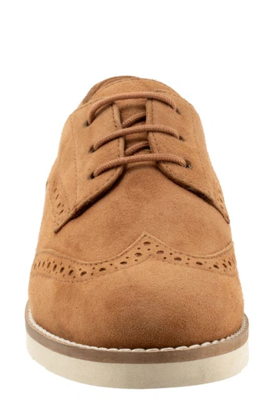 Softwalk Willet Wingtip Derby In Camel Nubuck