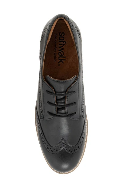 Softwalk Willet Wingtip Derby In Black